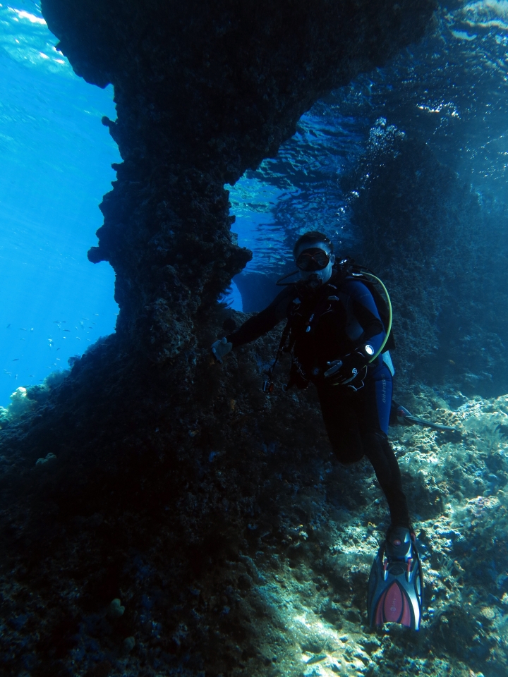 Devant les grandes fenêtres sous-marines qui reposent juste en dessous de la surface
