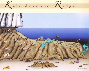 Spot "Kaleidoscope"