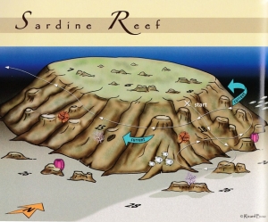 Spot  "Sardine Reef"