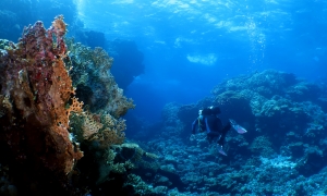 Canyons de Shaab Malahi