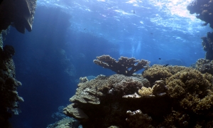 Canyons de Shaab Malahi