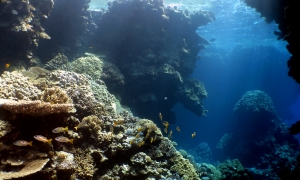 Canyons de Shaab Malahi