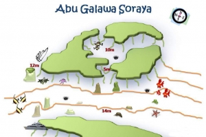 Site de Fury Shoal, spot "Abu Galawa Small Soraya"