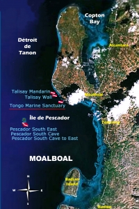 Spot "Tongo Marine Sanctuary"