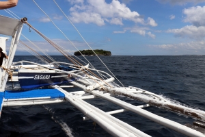 Transfert de l'île Pescador sur la côte de Moalboal