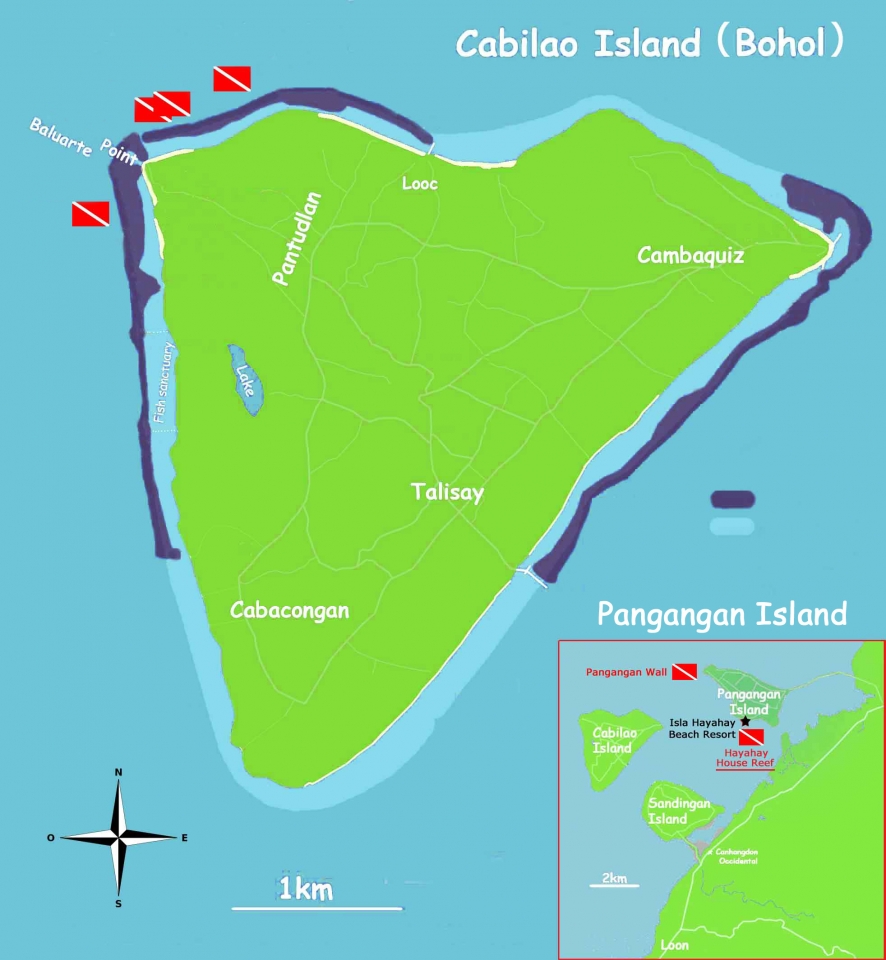 Spot "Hayahay House Reef"