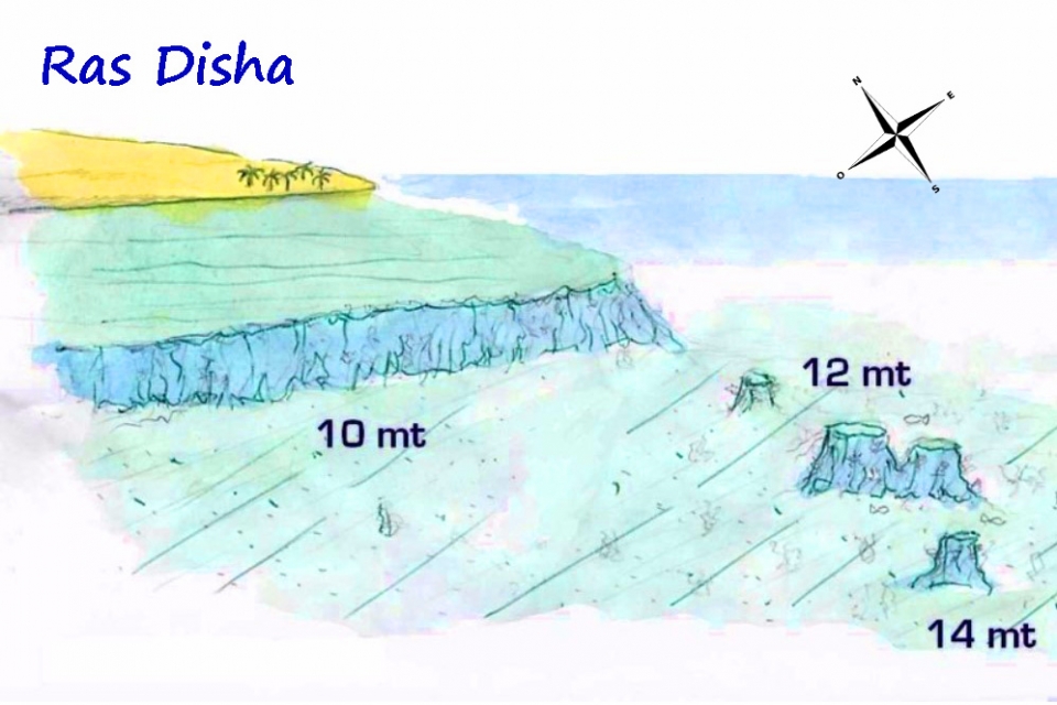 Site d'Hurghada, spot "Ras Disha"