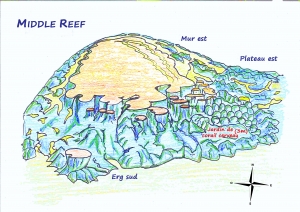 Site de Safaga, spot "Middle Reef"