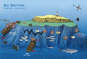 Site Les Brother's, spot "Big Brother" Pointe nord (Epave "Numidia") et Versant ouest (Epave "Aïda)