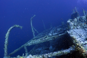 Epave le "Numidia" de 145m de long plongeant dans les profondeurs