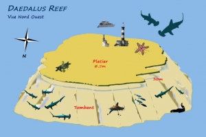 Site Daedalus Reef, spot "Daedalus" Versant Nord-ouest