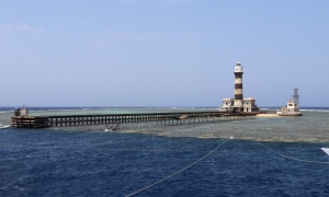 + Daedalus Reef nommé aussi Abu el Kizân est un îlot coralien au large des côtes.