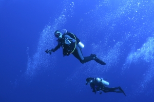 Plongée dans un environnement en eau libre, le grand bleu
