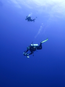 Plongeur en attente dans le bleu