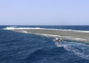 Elphinston Reef ou Sha'ab Abu Hamra au large de Marsa Alam