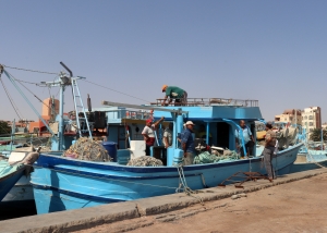 Activités dans le vieux port de pêche