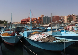 Barques du vieux port de pêche