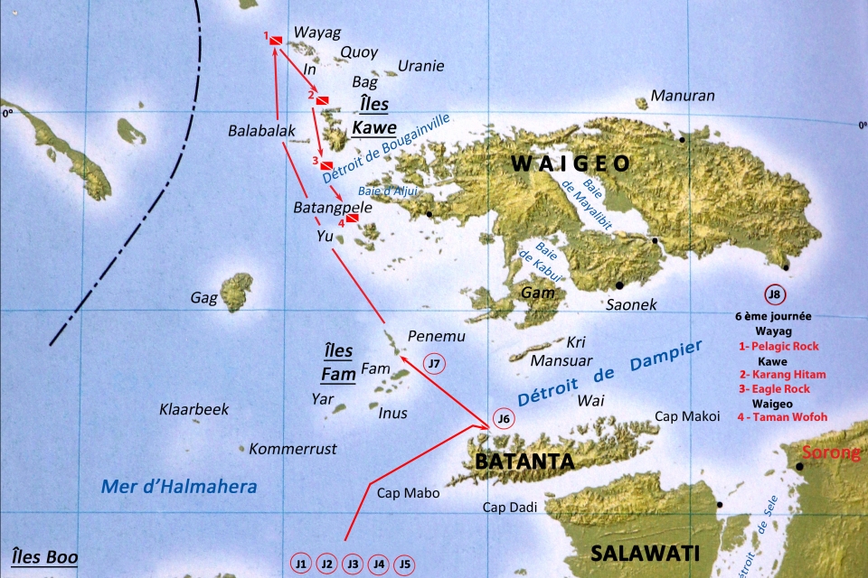 Les 4 plongées de mardi au nord de Raja Ampat