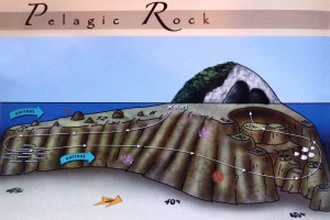 Spot "Pelagic Rock"
