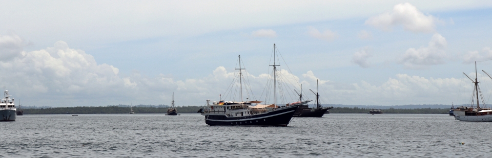 Le Seahorse, bateau de croisière plongée de Wallacea