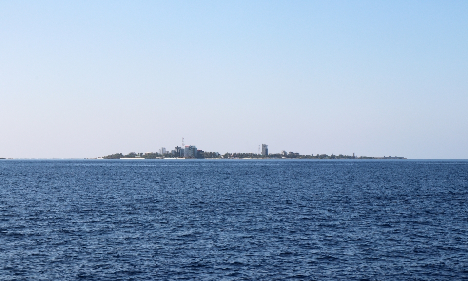 1 IMG_7541 7h03