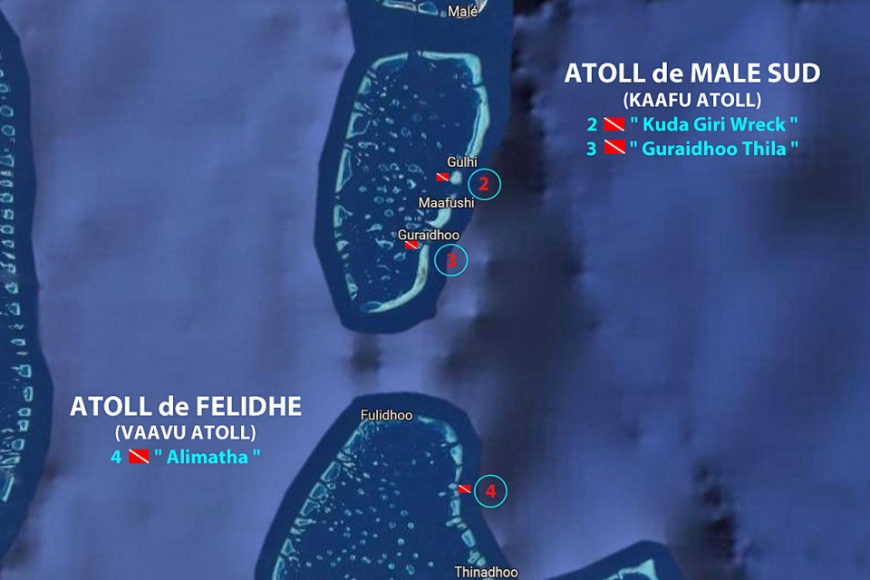 Jour 2, Lundi 21 Février 2022 : 3 plongées dont 1 plongée de nuit