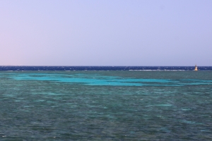 "Panorama Reef"