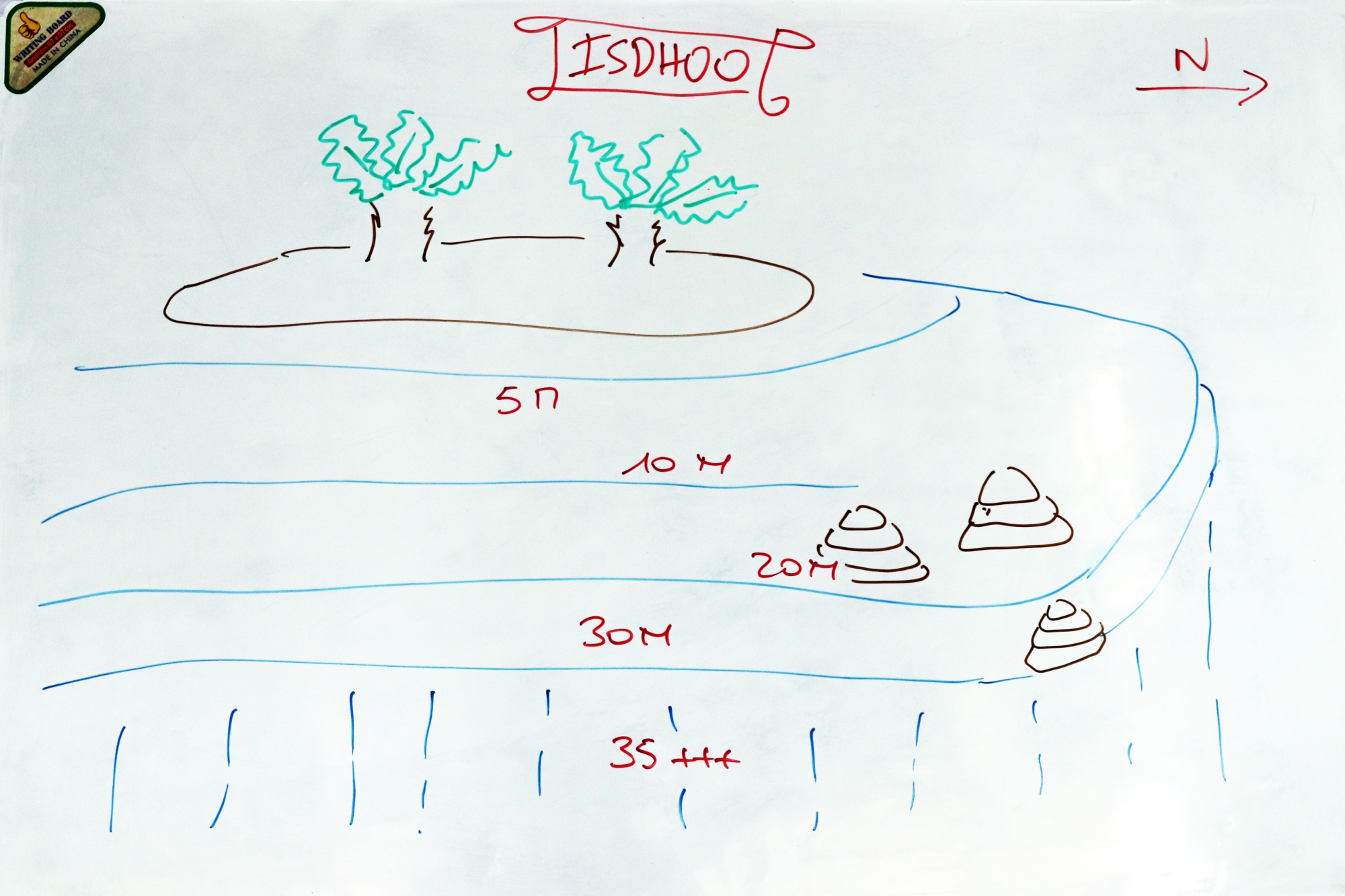 Spot " Isdhoo "