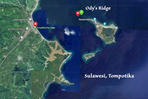 Spot " Ody’s Ridge "