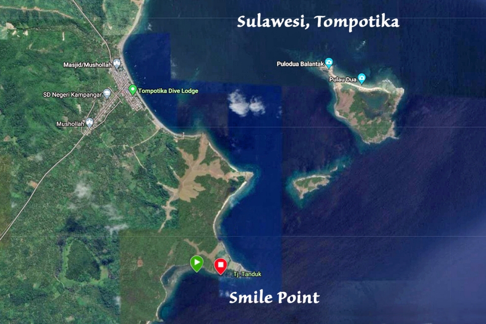 Spot " Smile Point "