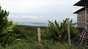 Vue sur une baie de Teku, province du Sulawesi central