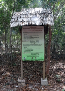 Un site géré par l'Alliance pour la conservation de Tompotika