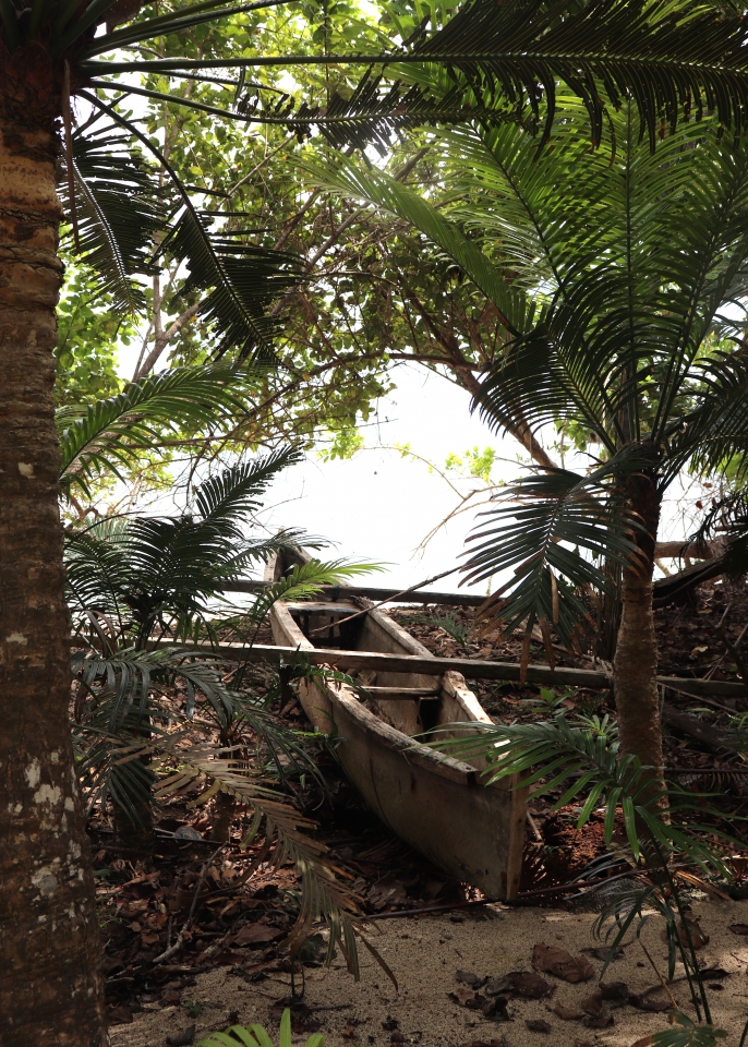 Pirogue en bord de mer