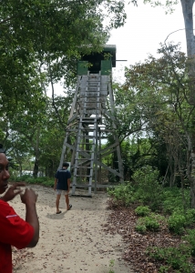 Tour d'observation érigée afin de découvrir le site sans perturber les oiseaux