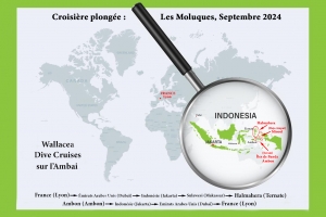 Indonésie Croisière "Les Moluques " - Septembre 2024