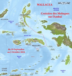 Circuit de la croisière au départ de Ternate pour terminer à Ambon