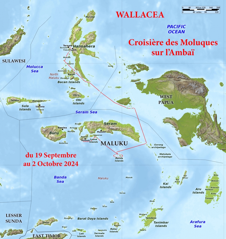 Circuit de la croisière au départ de Ternate pour terminer à Ambon