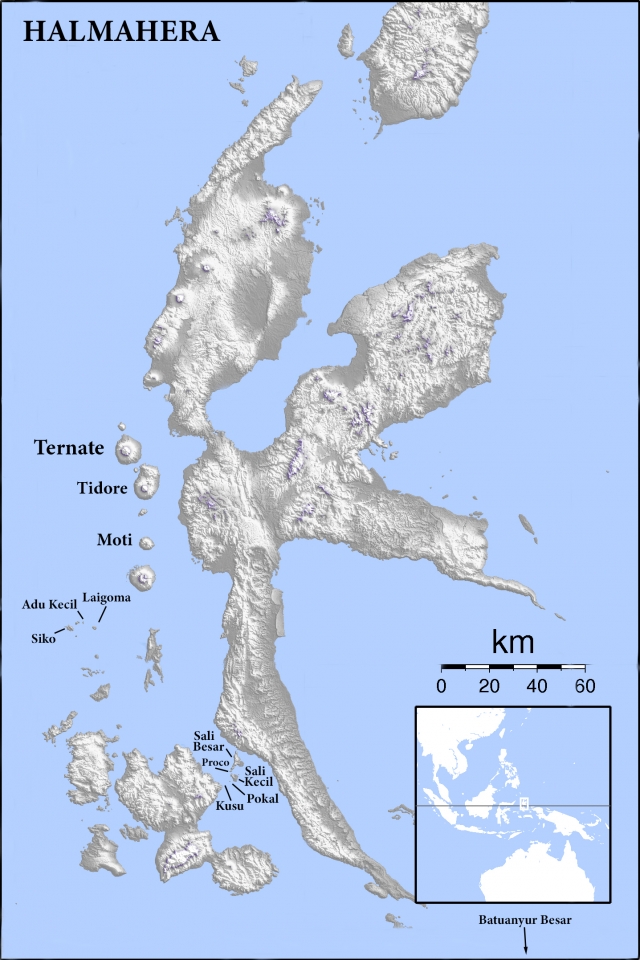 Spots de plongée à l'est et sud d'Halmahera