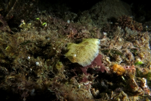8 IMG_3072+ 19h32