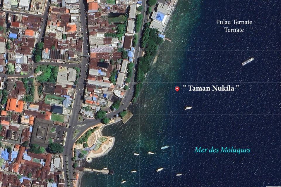Spot " Taman Nukila "