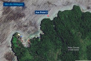 Spot " Am Point 2 "