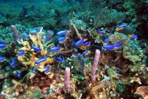 3 IMG_3305+ 11h15