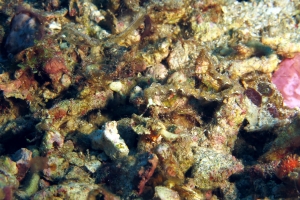 4 IMG_3322+ 11h26