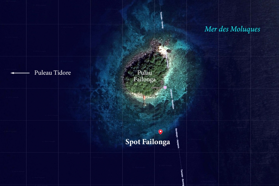 Spot " Failonga "