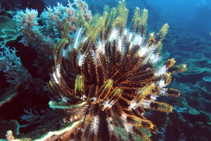4 IMG_3417+ 15h58