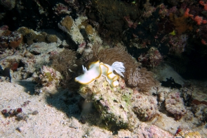 4 IMG_3892+15h58