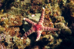 15 IMG_3211+ 8h11