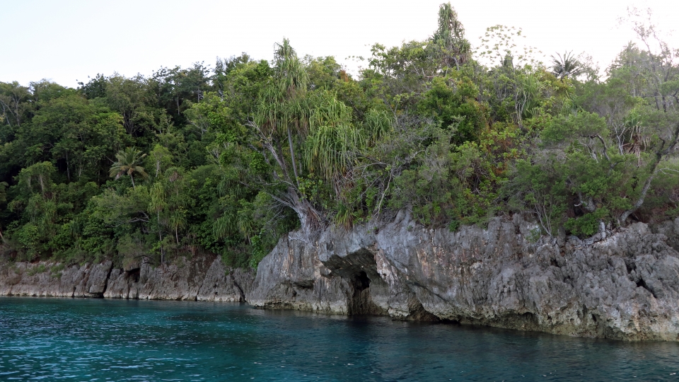 Côte de Pulau Laigoma recouverte par une forêt équatoriale