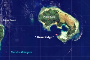 Spot " Kusu Ridge "