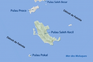 Plongées sur les îles Saleh Kecil, Pokal et Proco